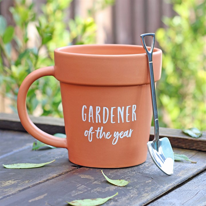 Seasonal Garden Care: Simple Tips That Make a Big Difference