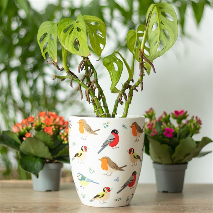 Why Quality Home & Garden Products Are Worth It